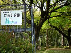 竹の子公園