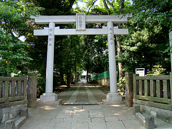 長い参道
