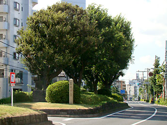 西ヶ原一里塚