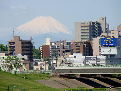 富士山ビュー