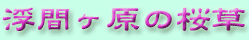 桜草ロゴ